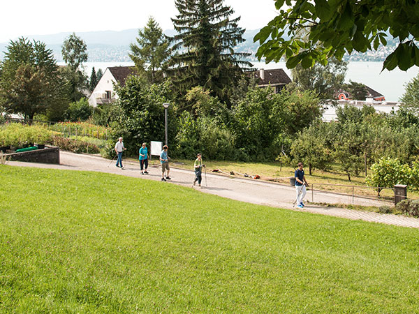 Bild vom EPI Areal mit Aussicht auf den Zürichsee