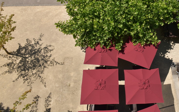 Bild von swissepi.ch