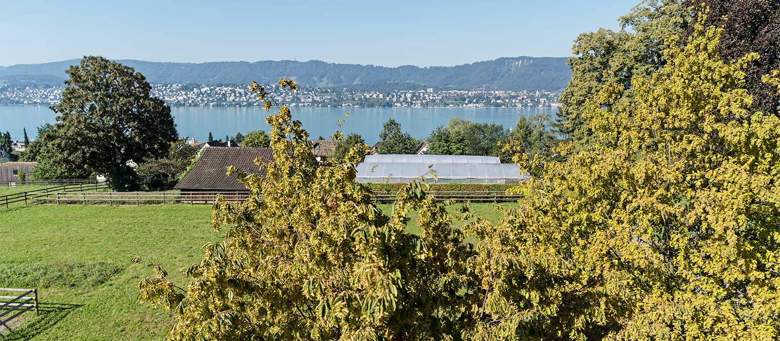 Bild der Aussicht auf den Zürichsee