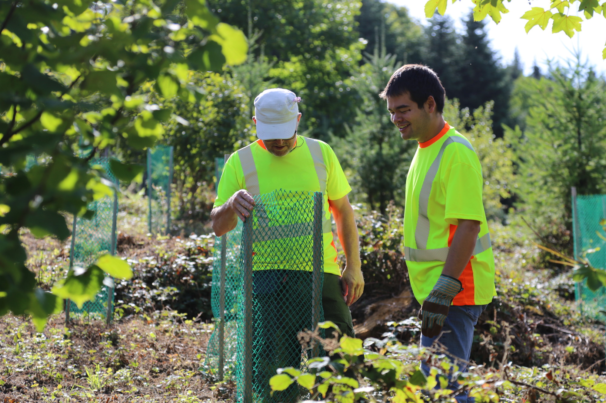 Zwei Teilnehmende des EPI WaldWerks bei Pflegearbeiten an einer geschützten Jungpflanze