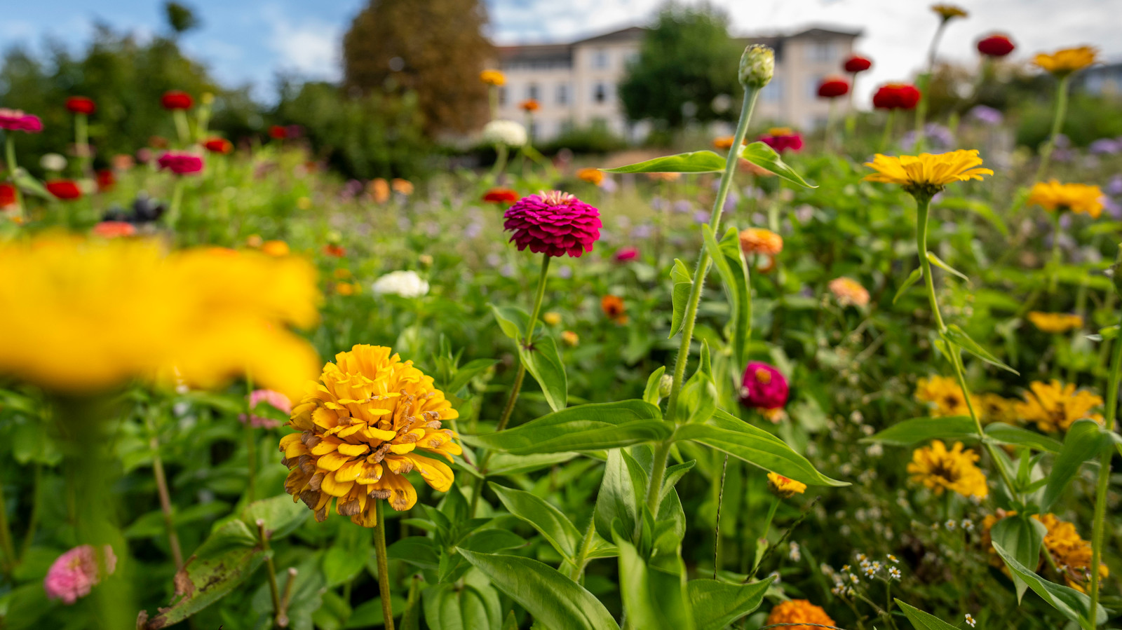 Gottesdienst zum Tag der Kranken