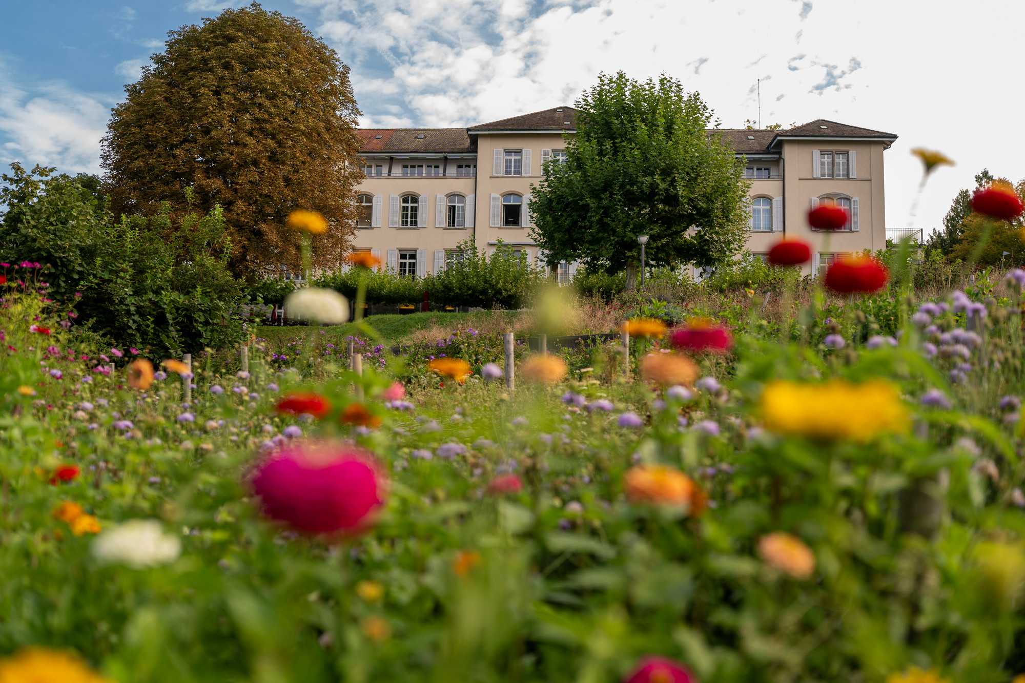EPI Gründungshaus Aussenaufnahme