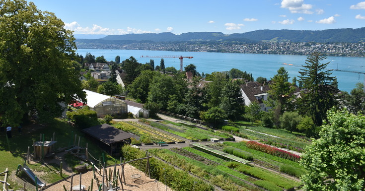 Bild von swissepi.ch