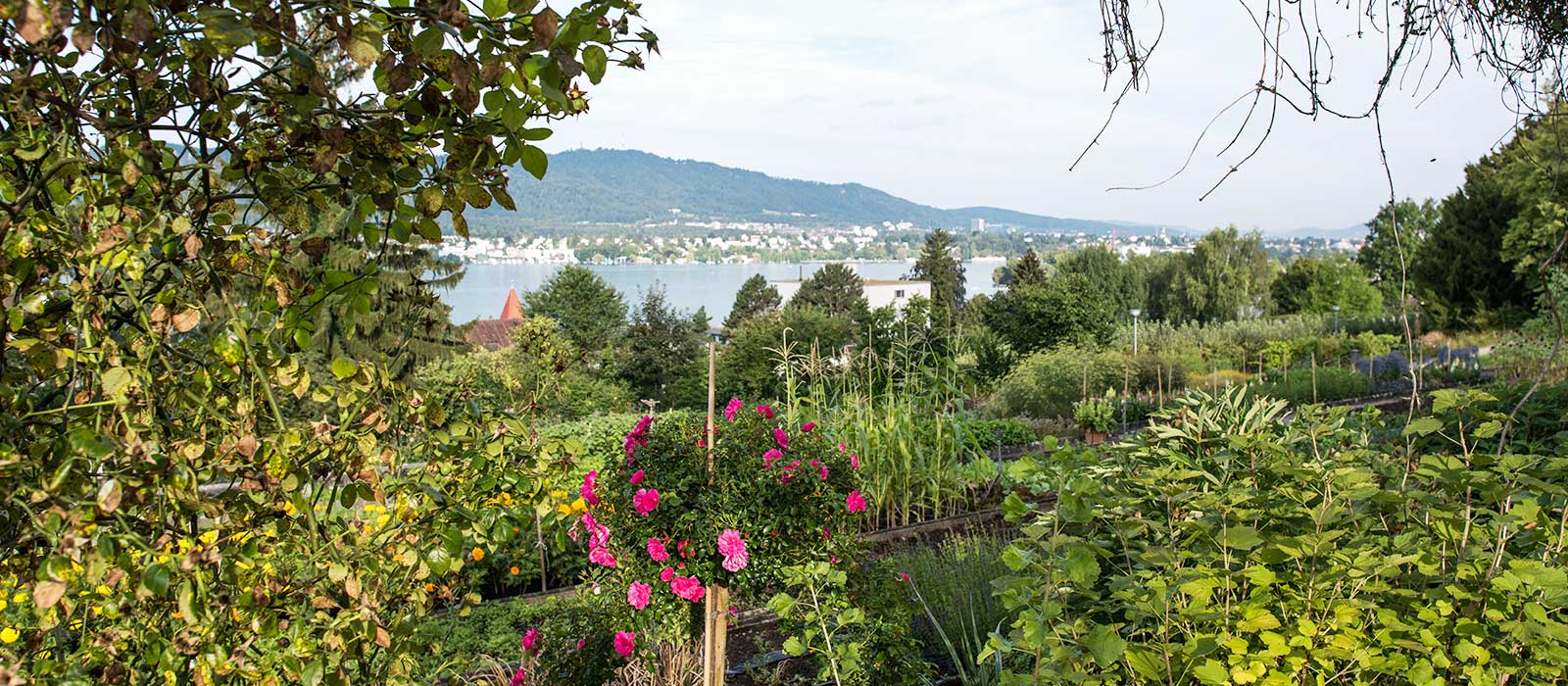 Ausblick auf den See