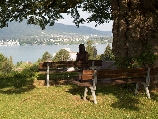 Bild vom EPI Areal mit Aussicht auf den Zürichsee