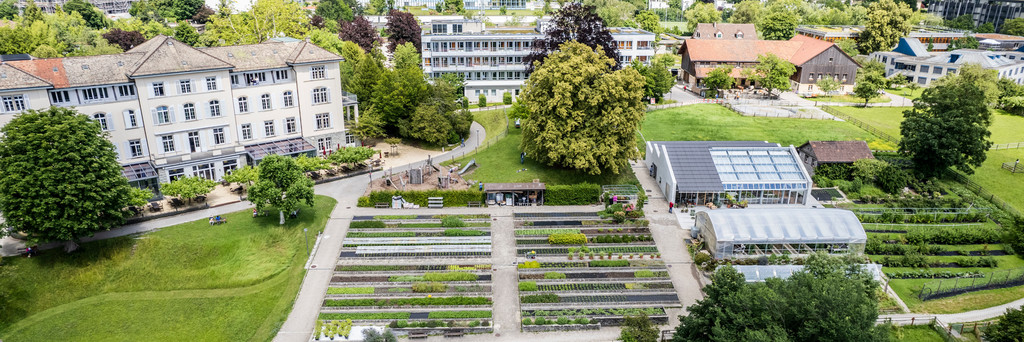 Bild von swissepi.ch