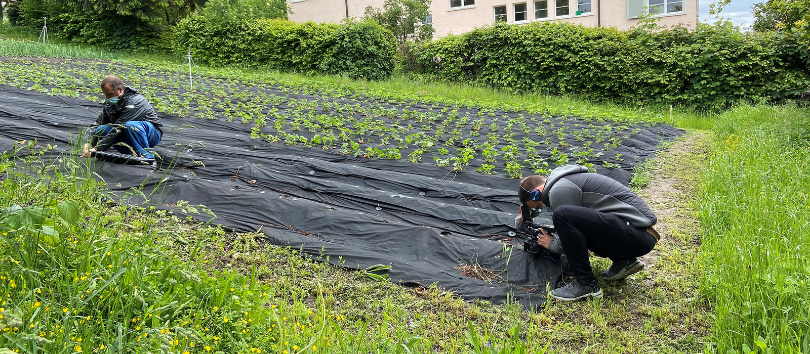 Danilo Schneebeli auf dem Feld mit dem Videofilmer