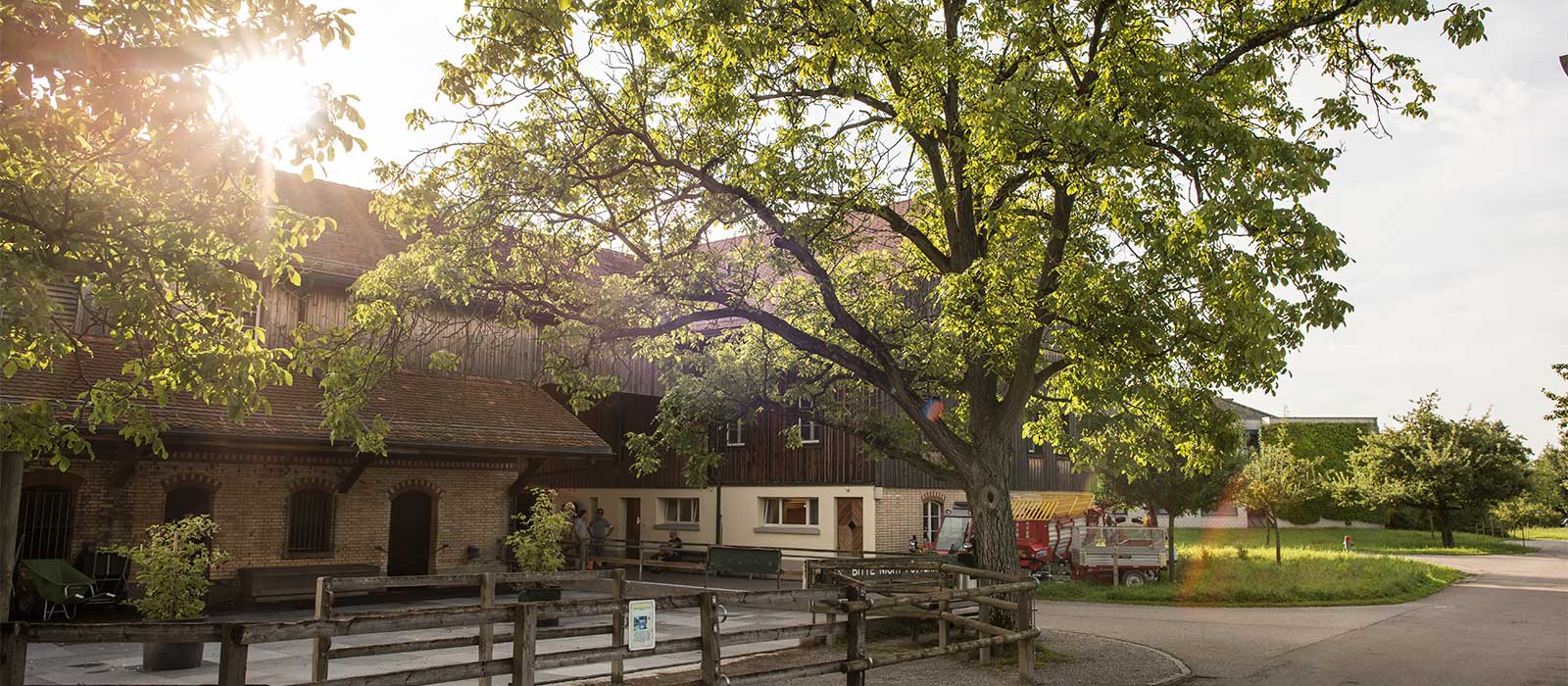 Bild von swissepi.ch