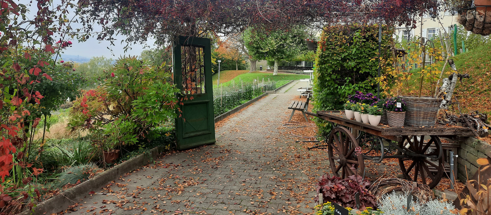 Aktuell in der Handmacherei: Frisches Sommergemüse, zarte Schnittblumen und natürliche Blütenkränze